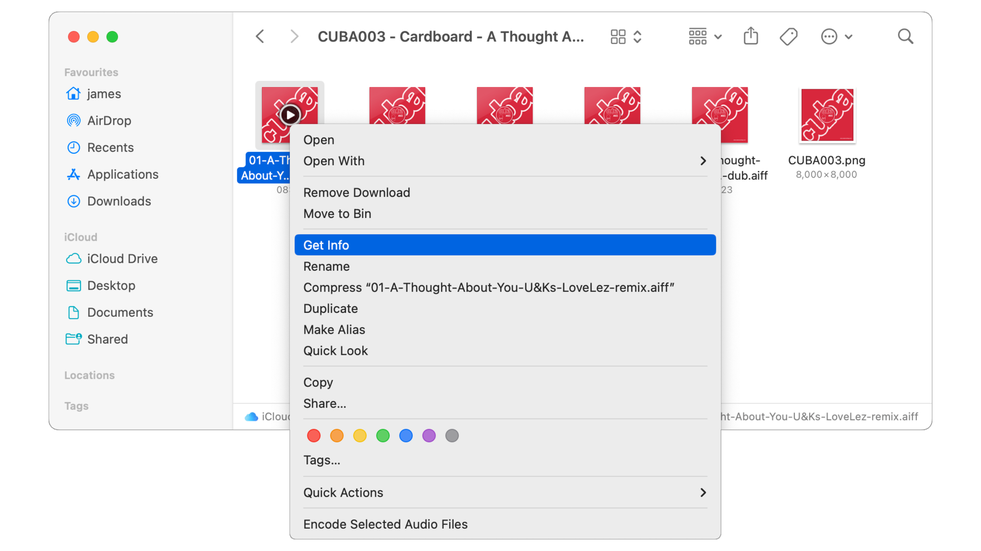 The Get Info option from the menu.